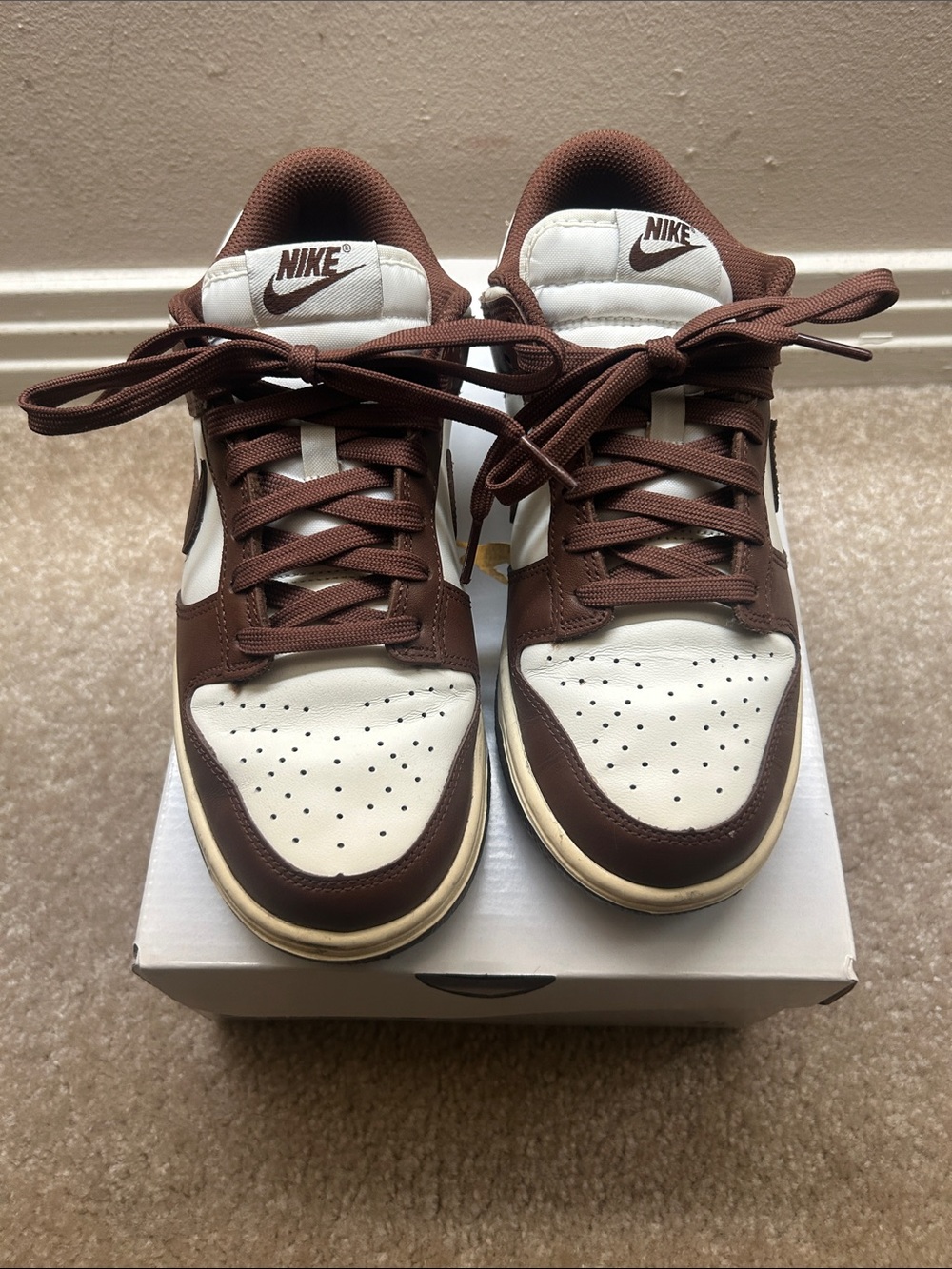 Nike Women’s Brown Dunk Lows